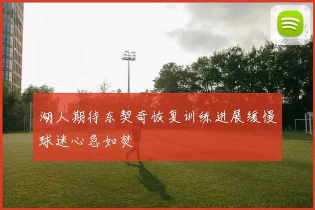 湖人期待东契奇恢复训练进展缓慢球迷心急如焚