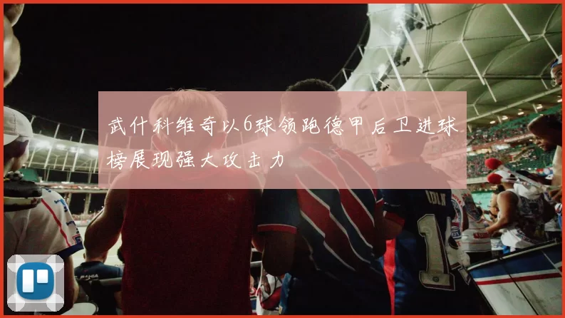 武什科维奇以6球领跑德甲后卫进球榜展现强大攻击力